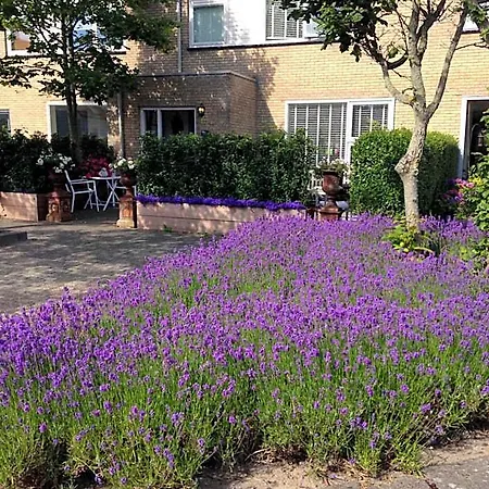 Texel 4*