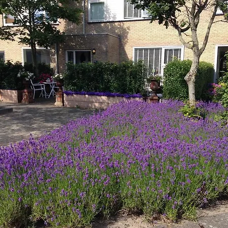 Couette-café Texel 4*