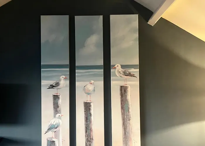 Alojamento de Acomodação e Pequeno-almoço Texel 4*