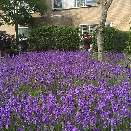 De Koog Texel De Koog (Texel)