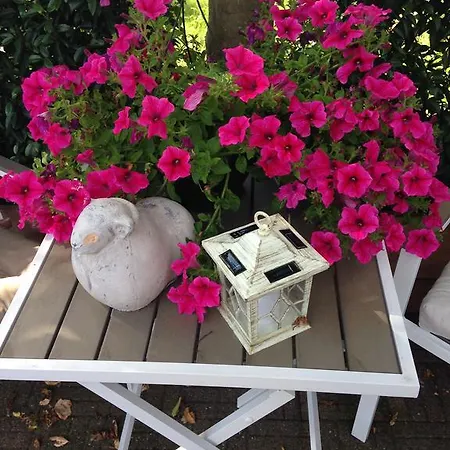 Bed & Breakfast De Koog Texel De Koog (Texel)