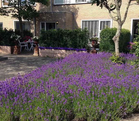 Bed & Breakfast De Koog Texel 4*