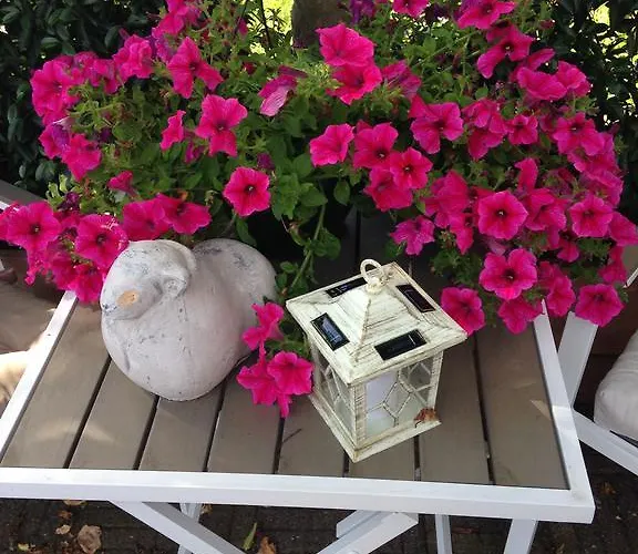 Bed & Breakfast De Koog Texel De Koog (Texel)